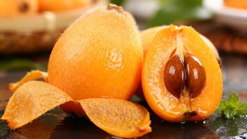 新鲜枇杷果特写图片