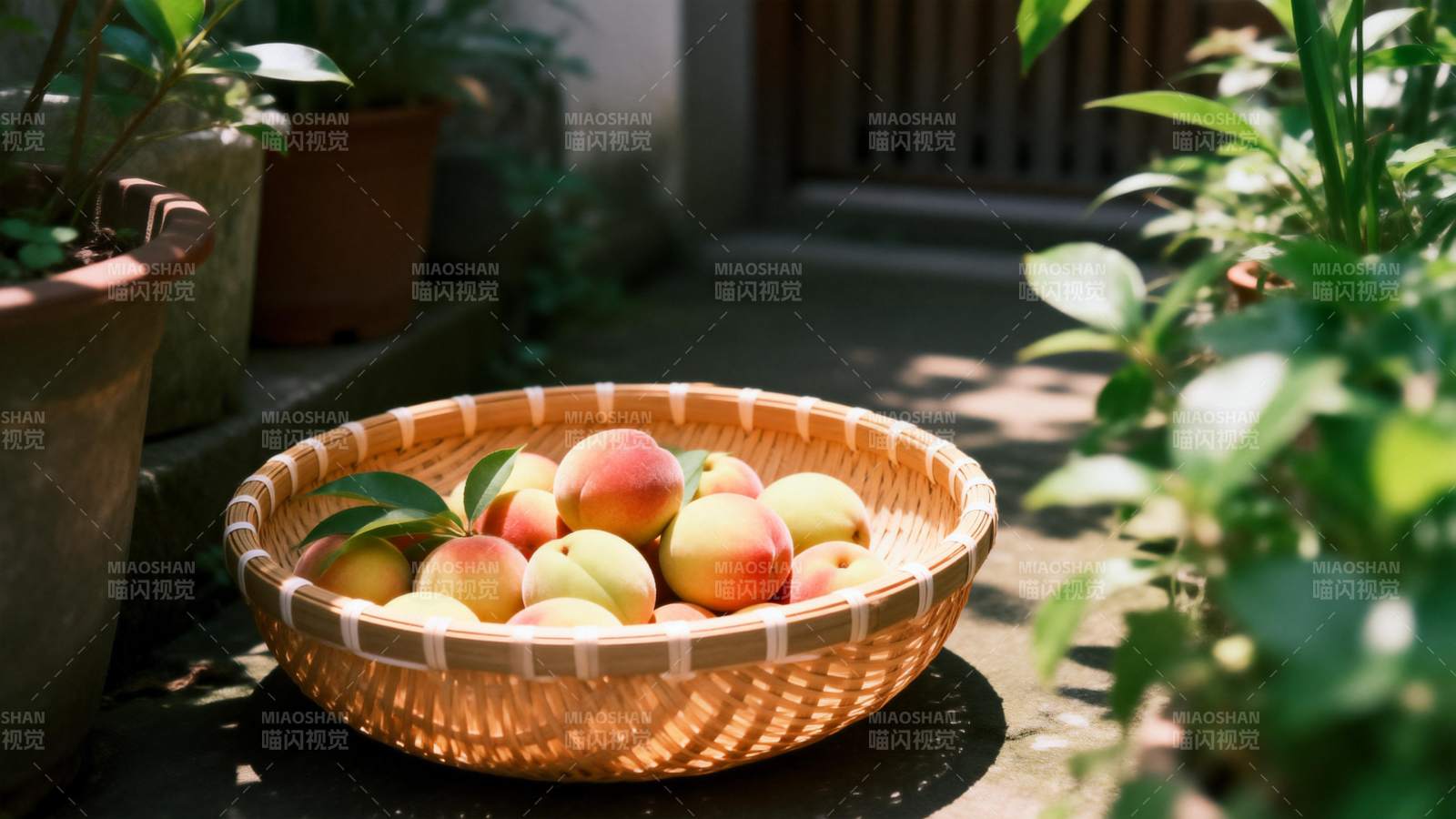 篮中桃果映绿荫图片