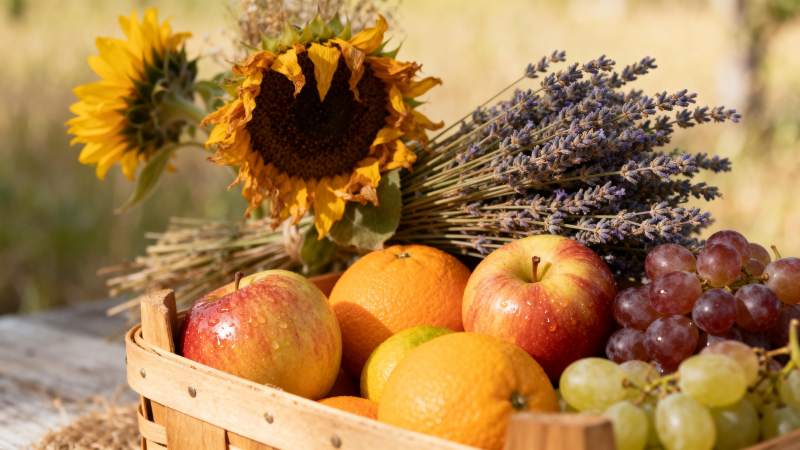 秋日丰收果篮图片