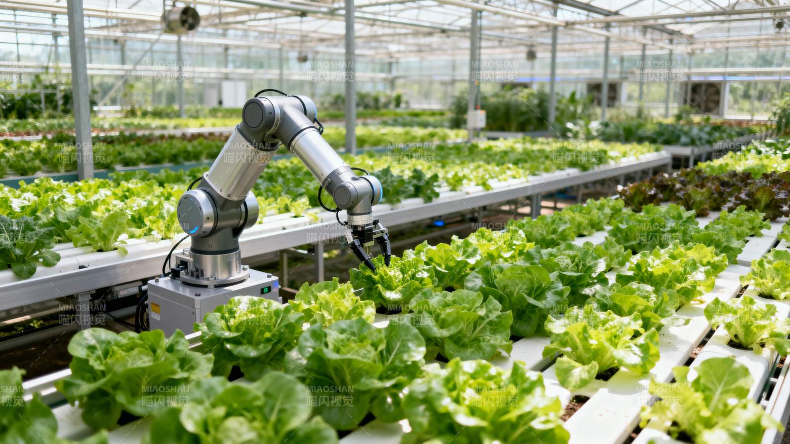 智能温室种植图片