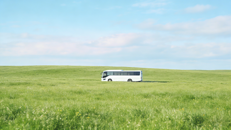 草原上的白色巴士图片