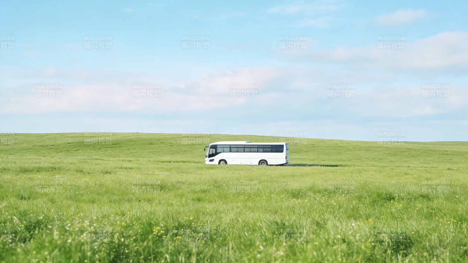 草原上的白色巴士图片