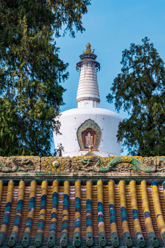 白塔映翠林图片