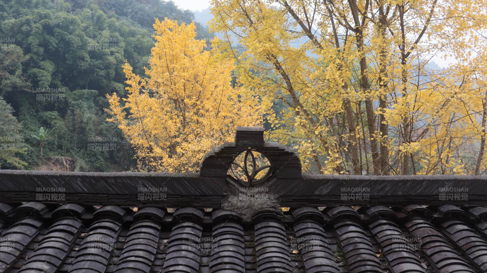 秋色中的古屋檐图片