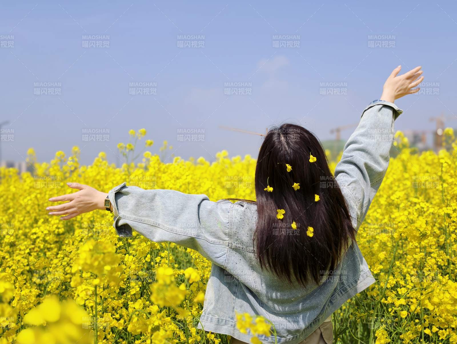 花海中的自由拥抱图片