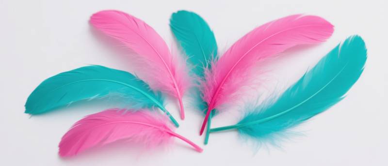 粉蓝羽毛轻盈飘逸图片