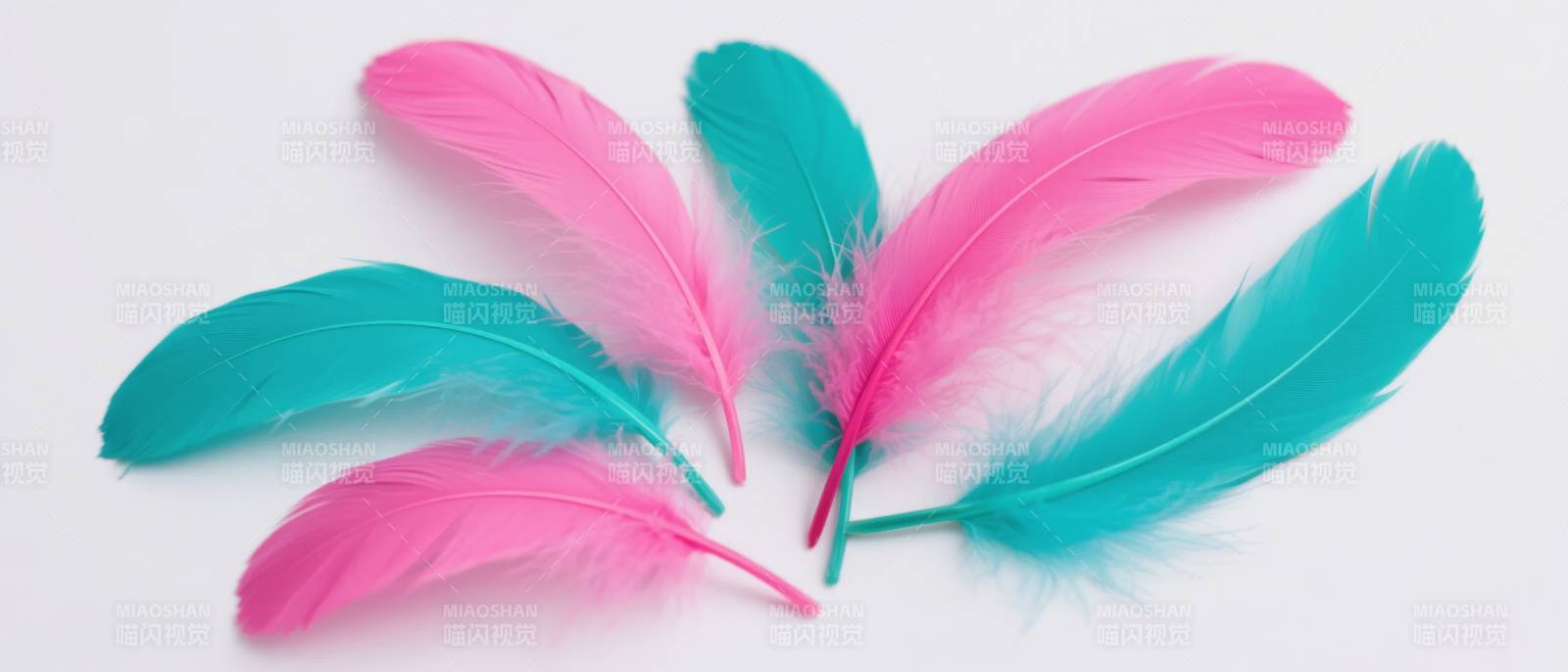 粉蓝羽毛轻盈飘逸图片