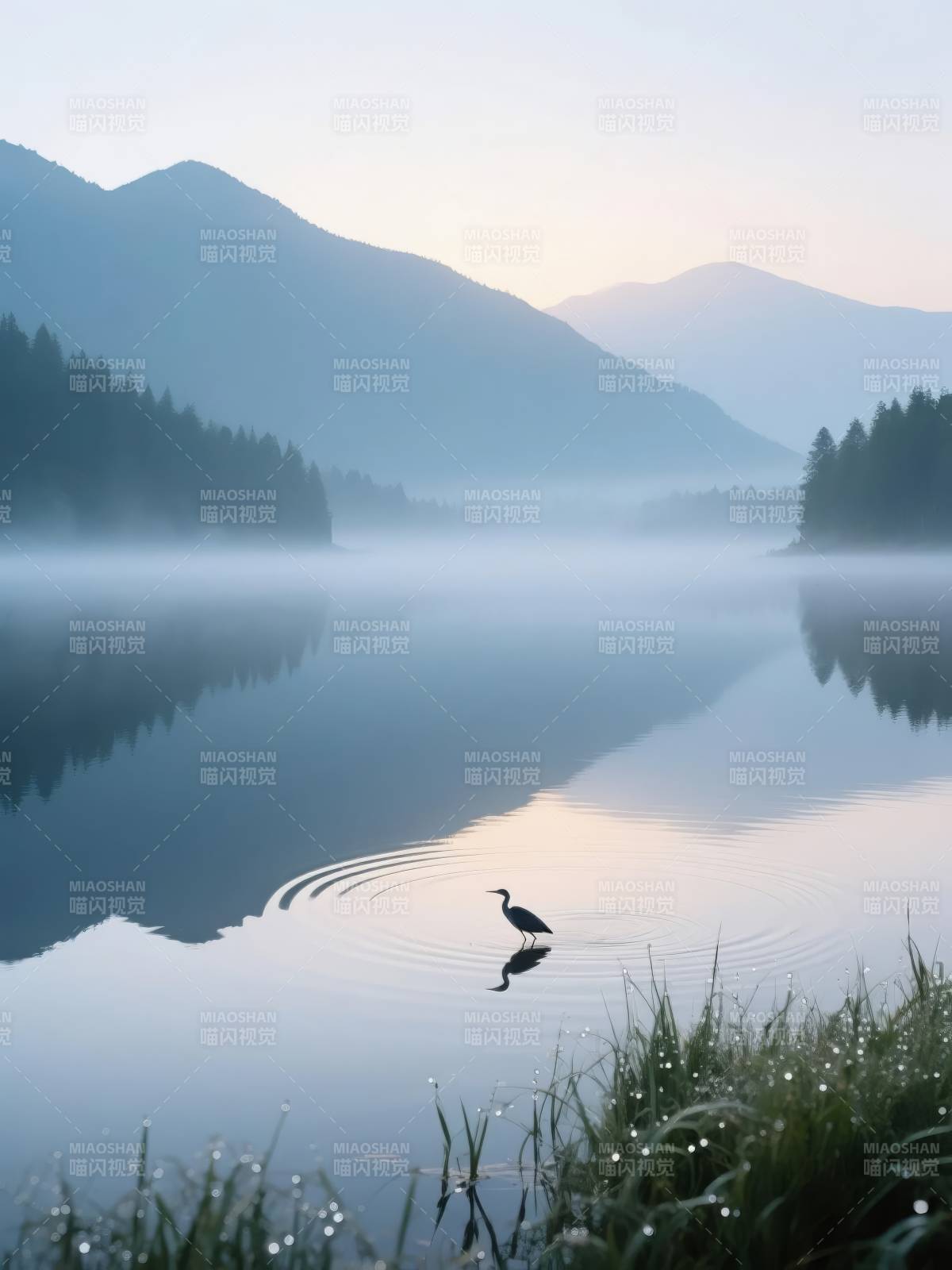 晨雾湖鹭图片