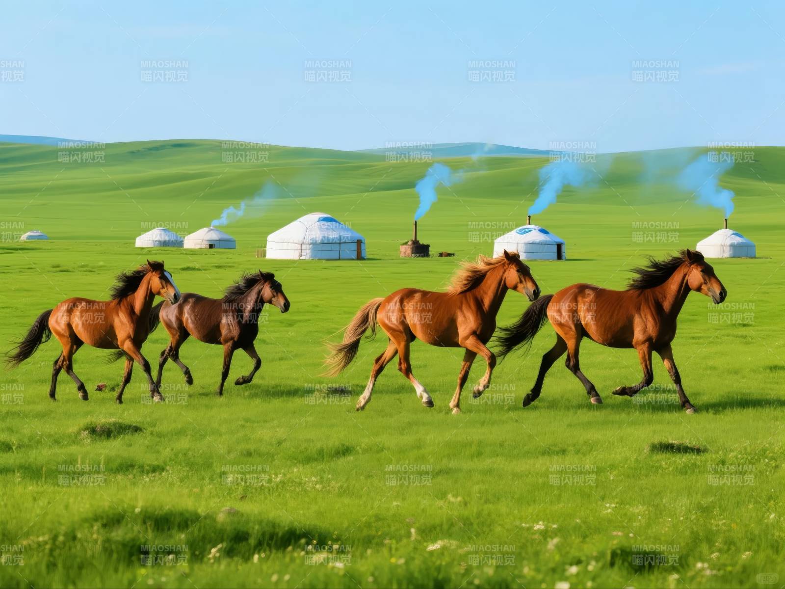 草原奔马图图片