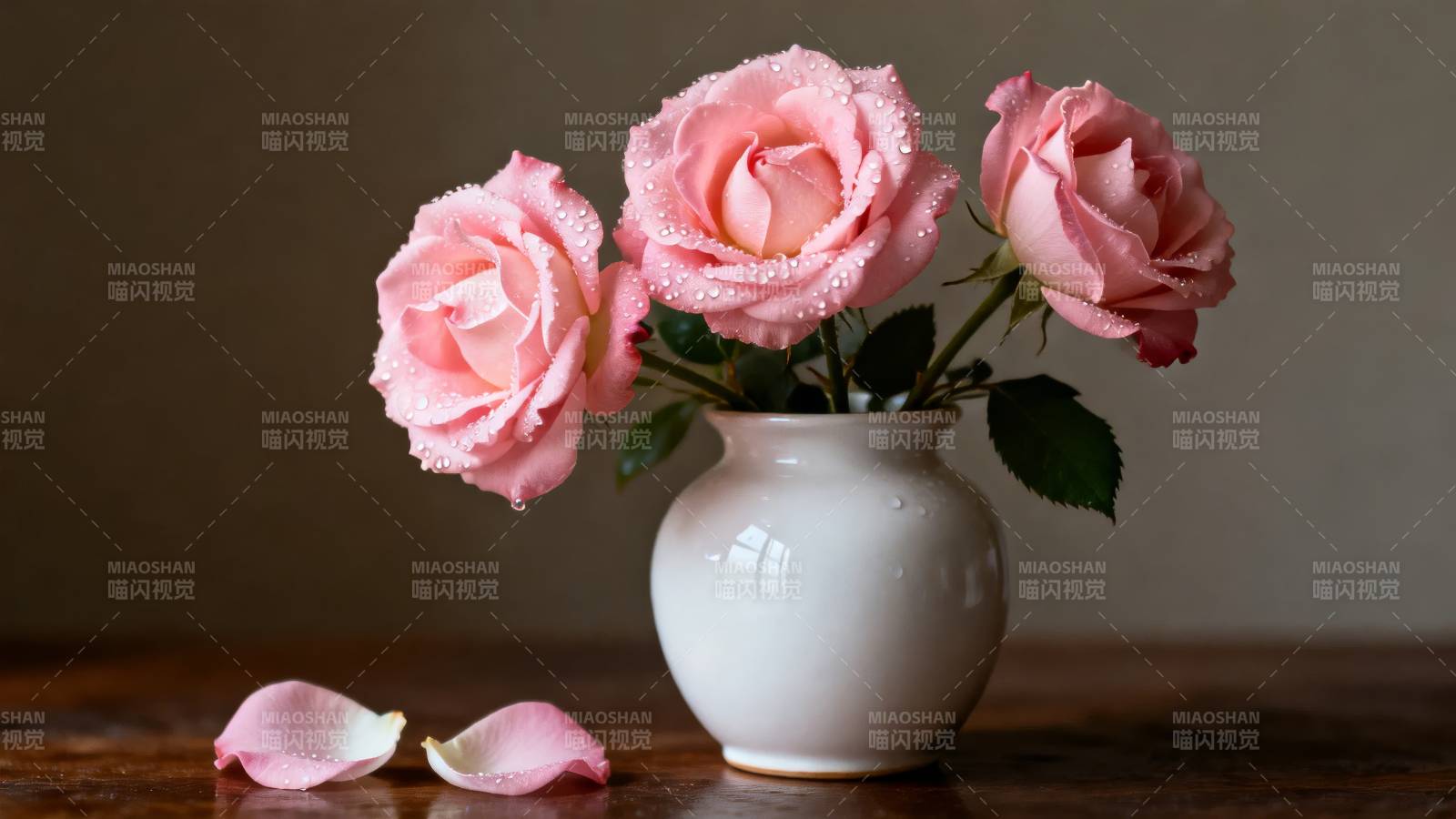 粉玫瑰静谧绽放图片