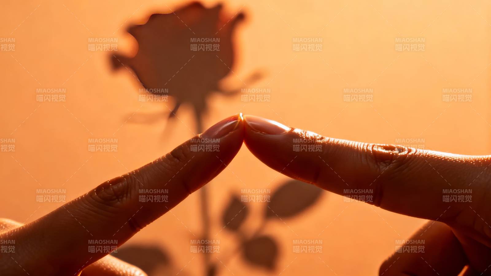 指尖玫瑰剪影图片