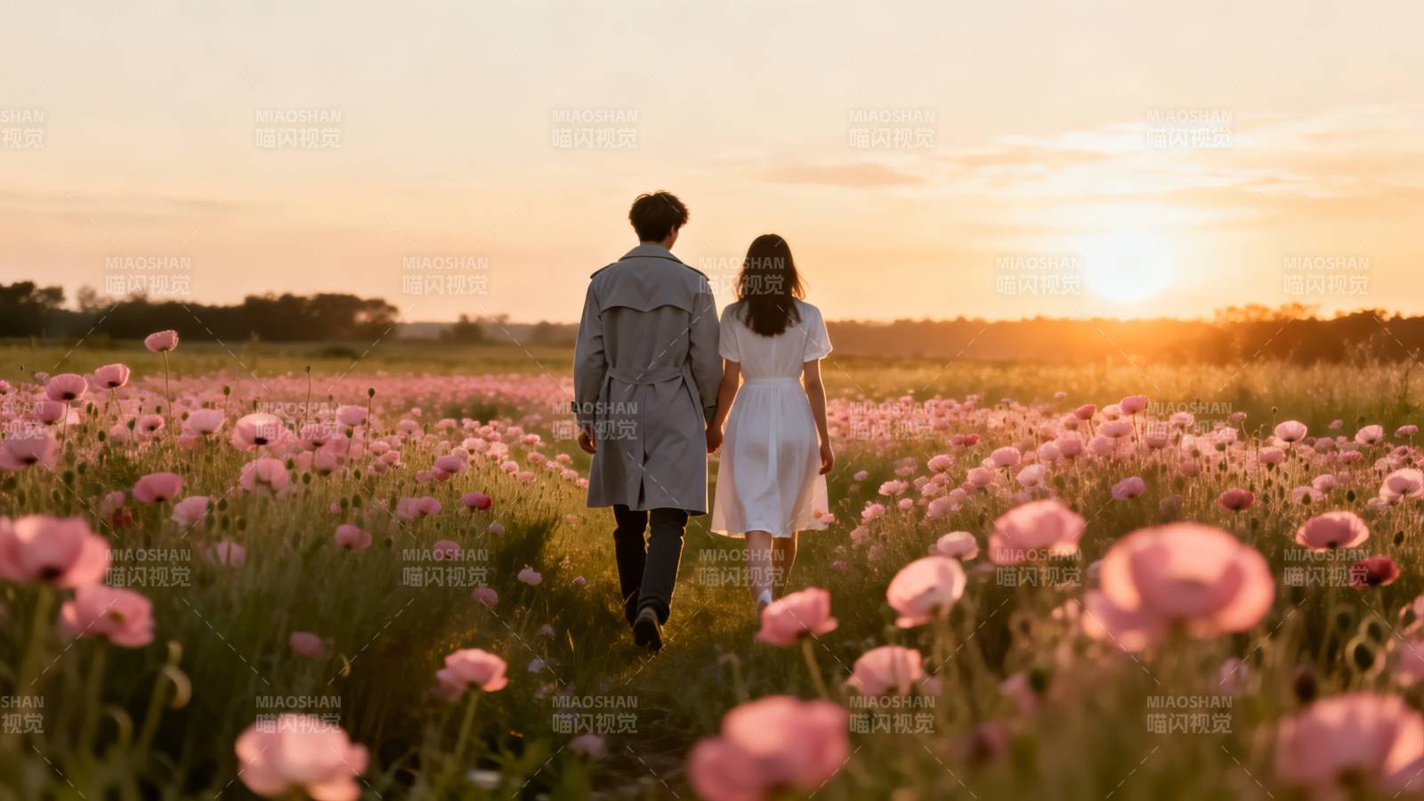 夕阳花海共行图片