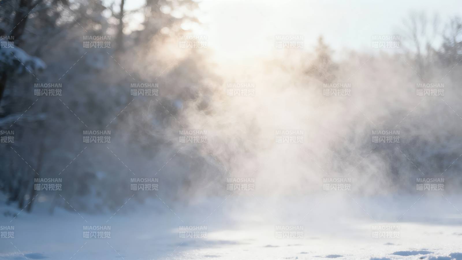 冬日雪雾森林图片