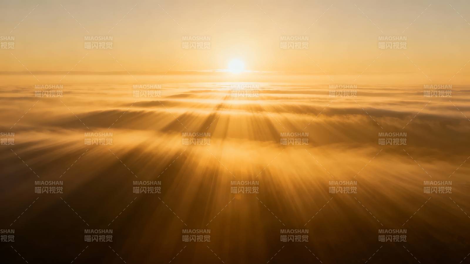 金色日出云海图片