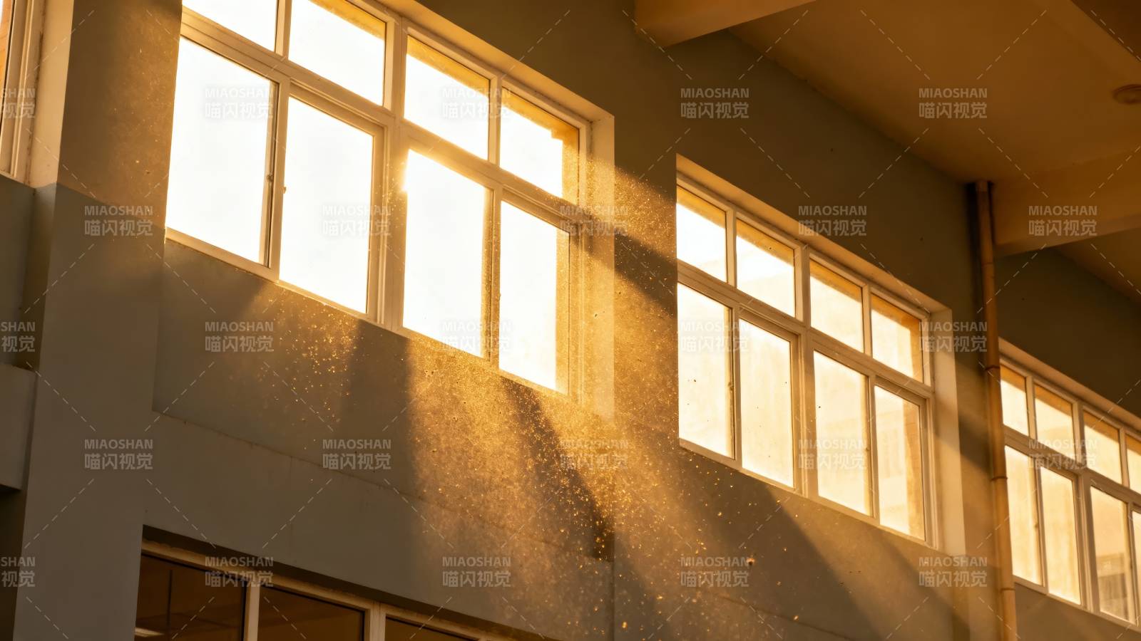 阳光洒满窗棂图片