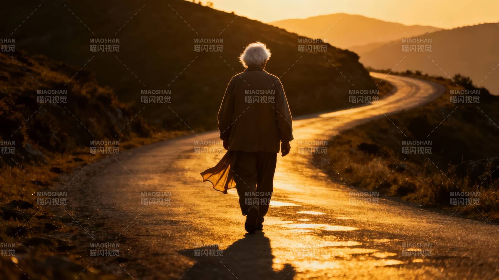 夕阳下的归途图片