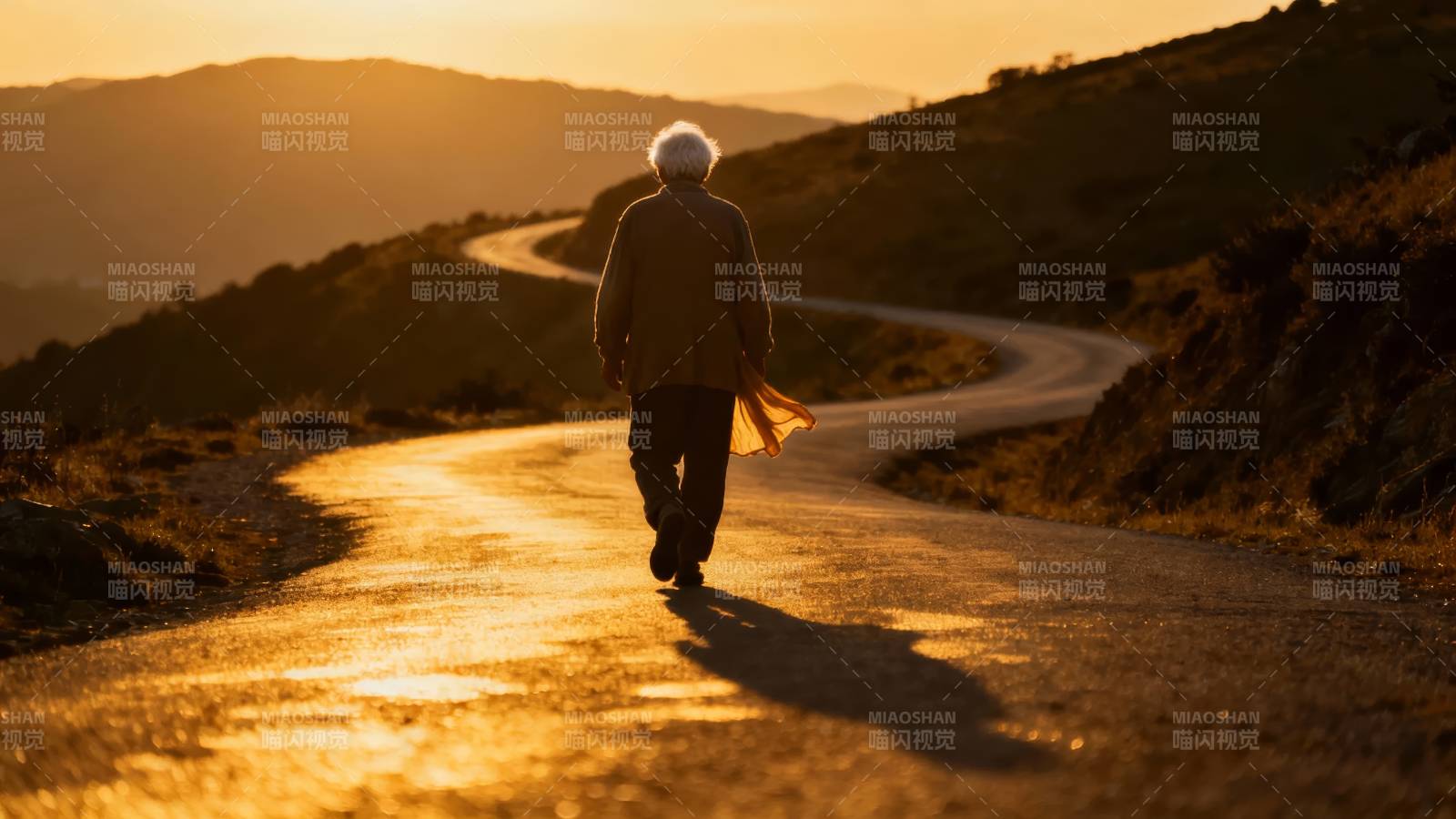 夕阳下的独行者图片