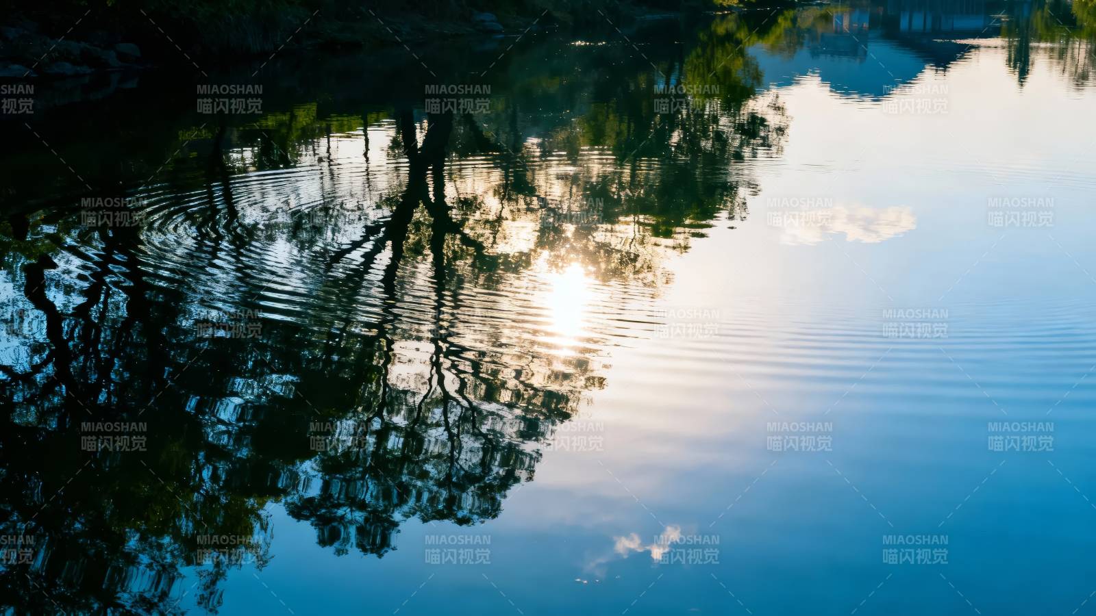 湖光树影映晴空图片