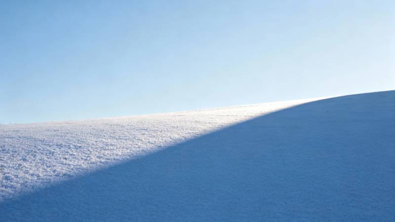 雪原晨光图片