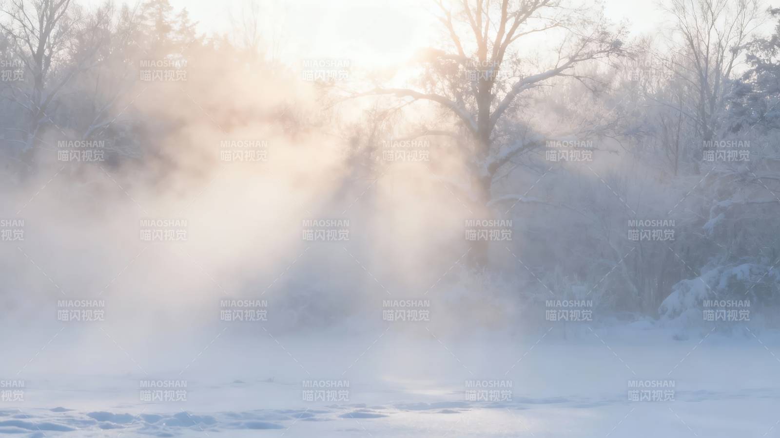 冬晨雾霭弥漫图片