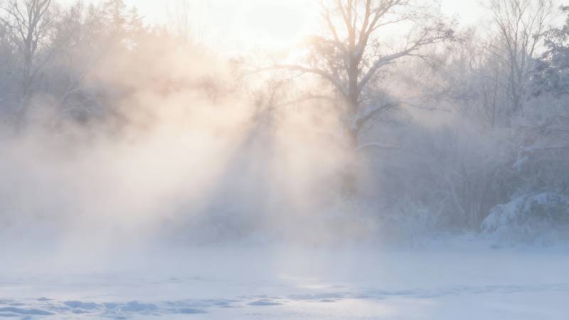 冬晨雾霭弥漫图片