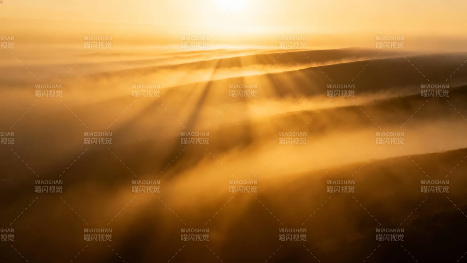 金色沙丘日出图片
