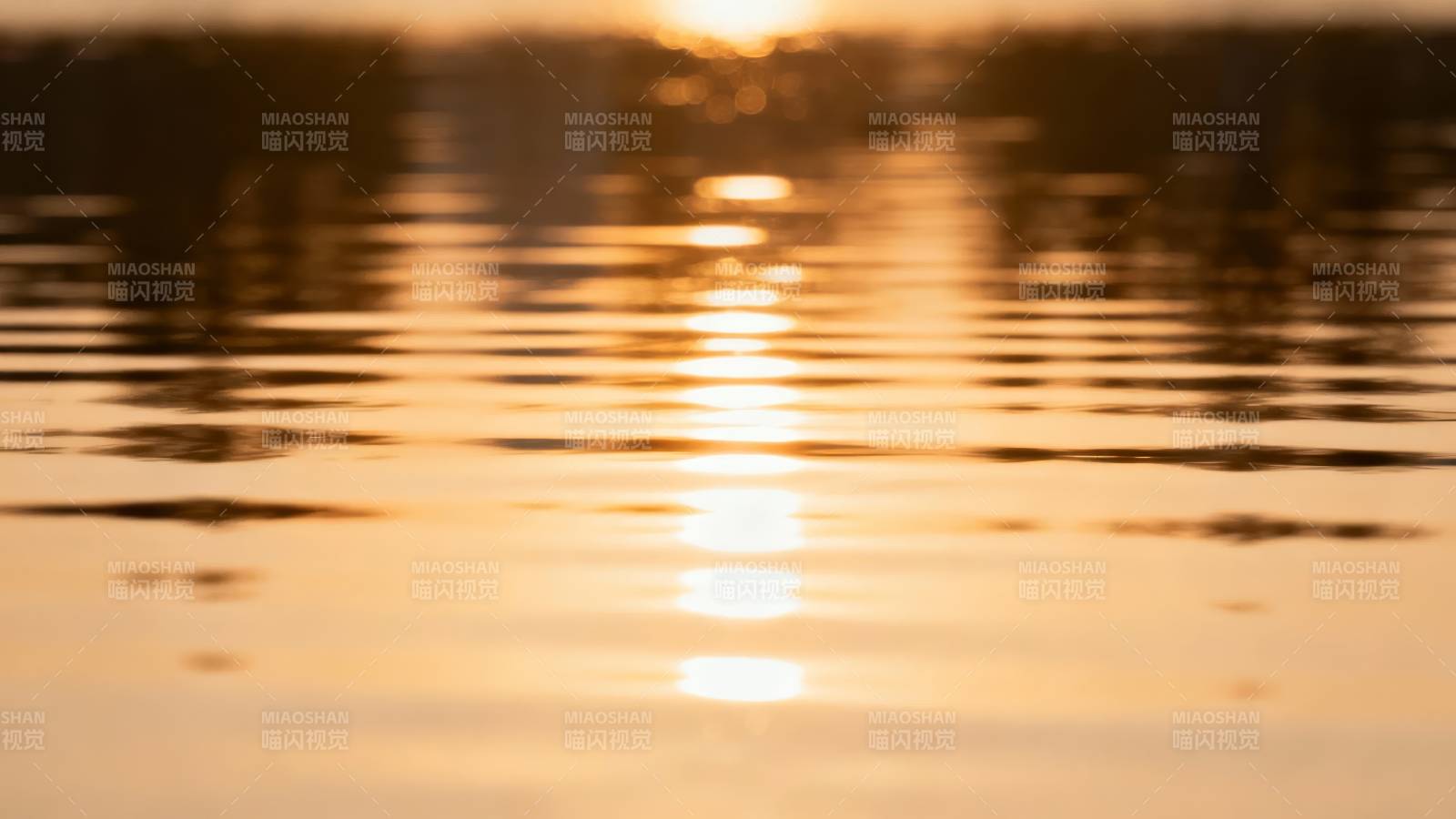 夕阳映水波光粼粼图片