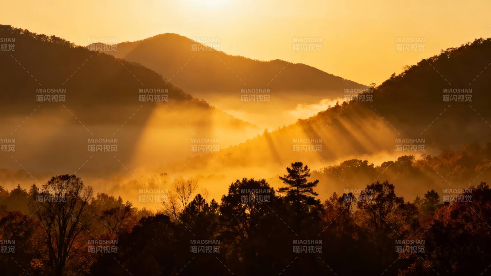 晨曦山雾美景图片