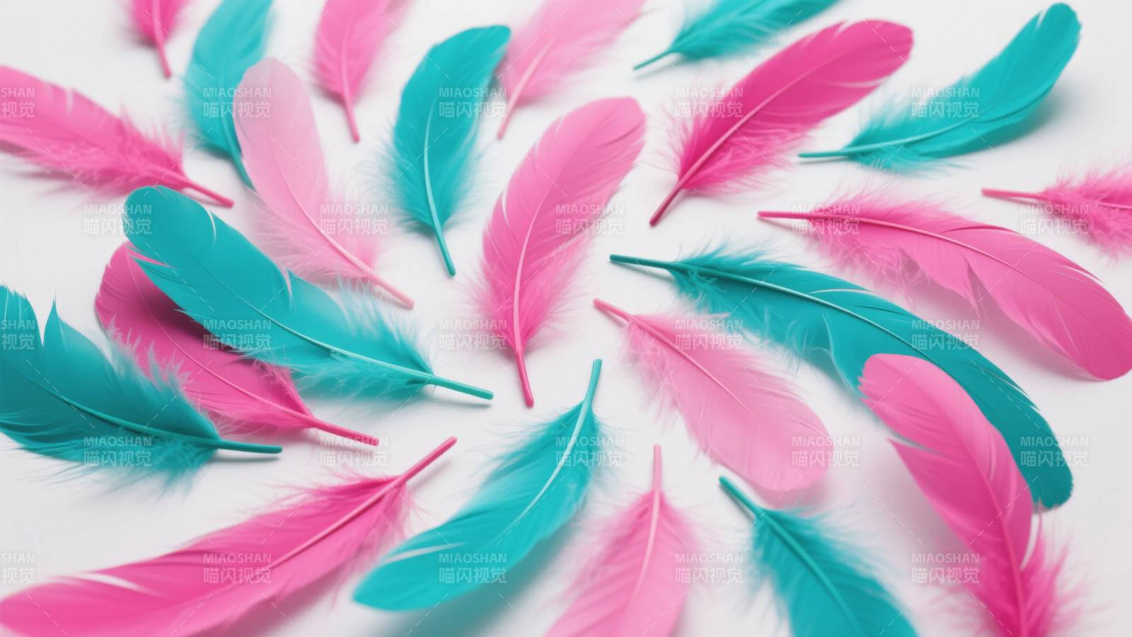 粉蓝羽毛交织图片