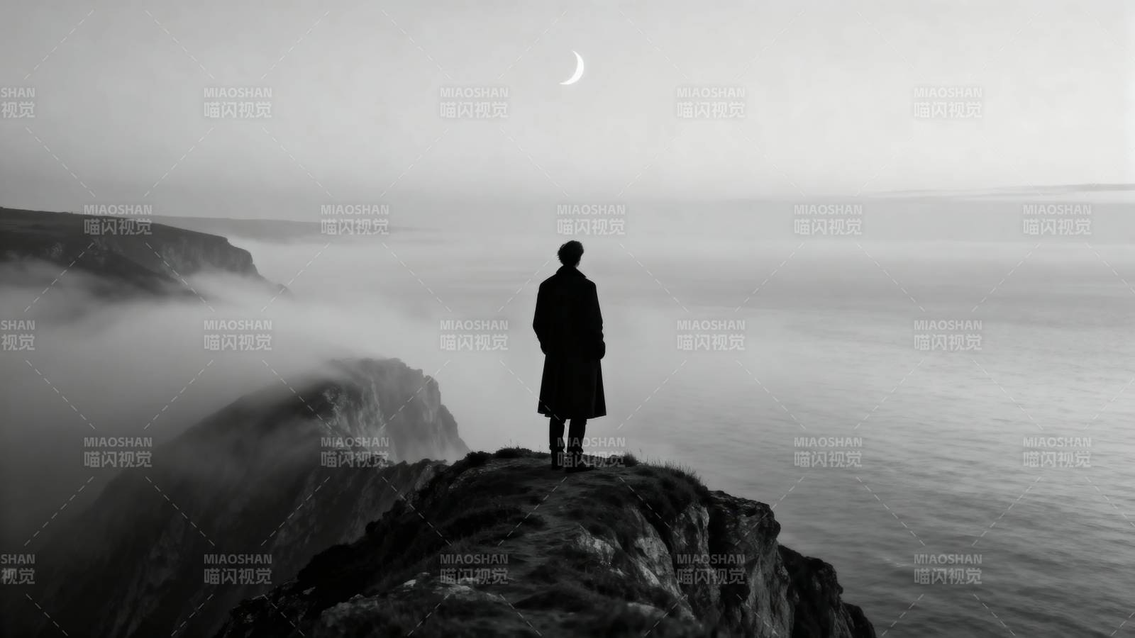 孤影望海月图片