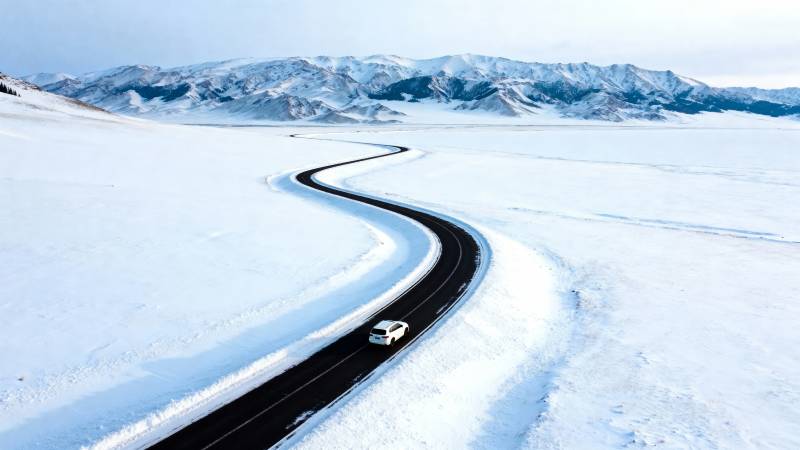 雪原驰骋之路图片