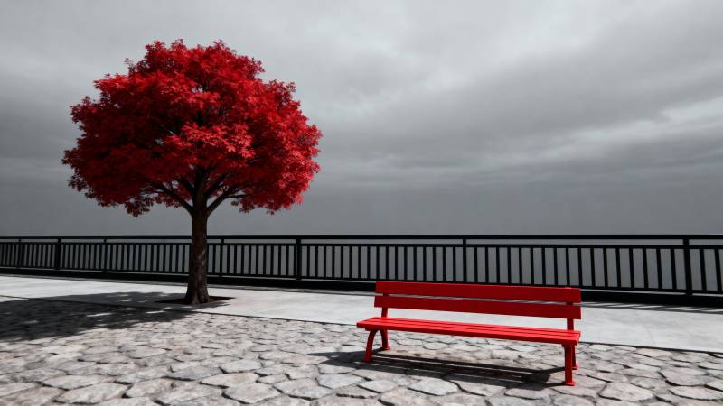 红树红椅静景图片