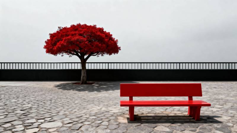 红树红椅静景图片
