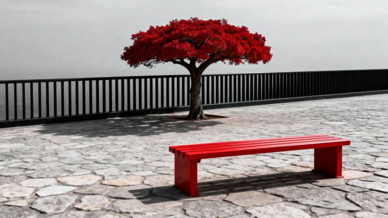 红树红凳静景图片