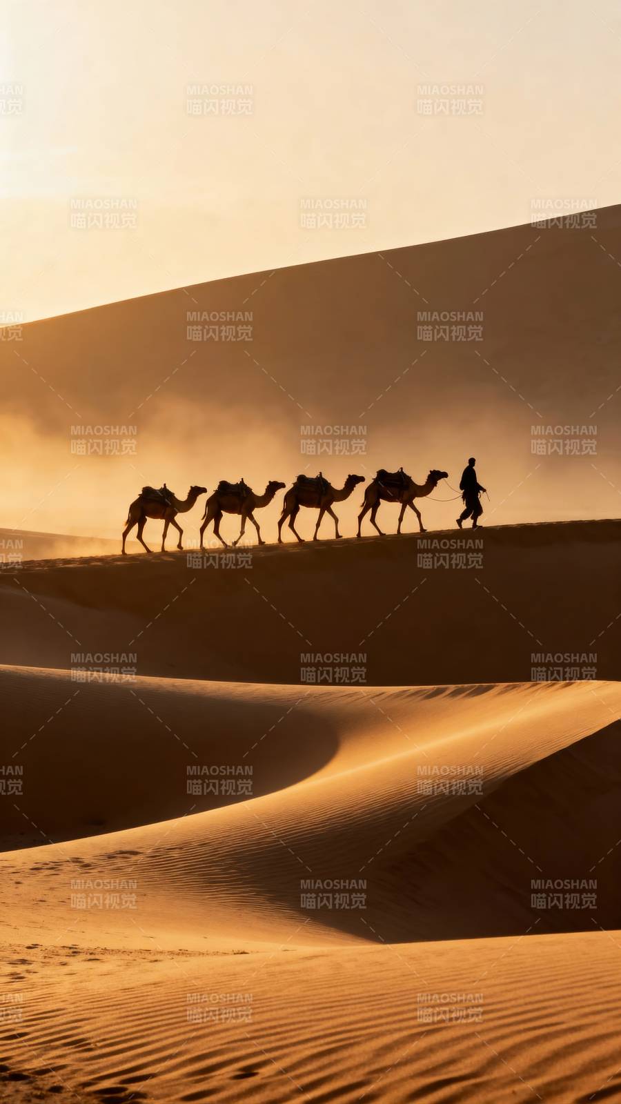 沙漠驼队剪影图片