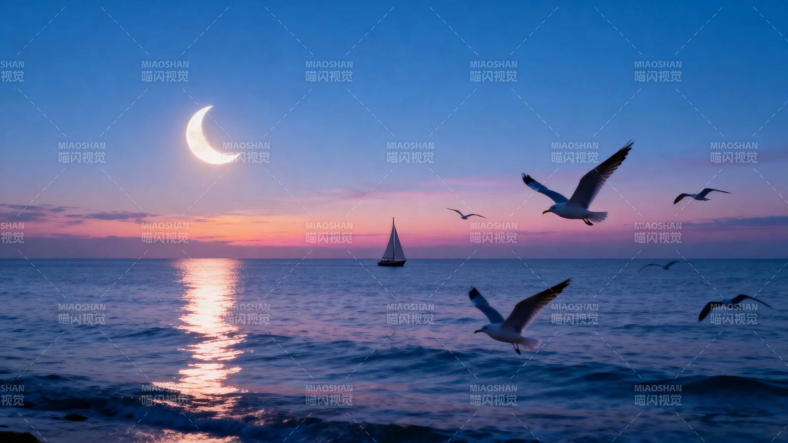 月夜海鸥飞翔图片
