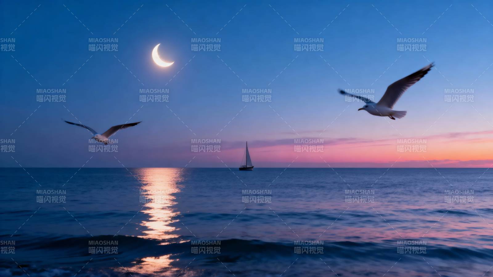 月下海鸥共舞图片