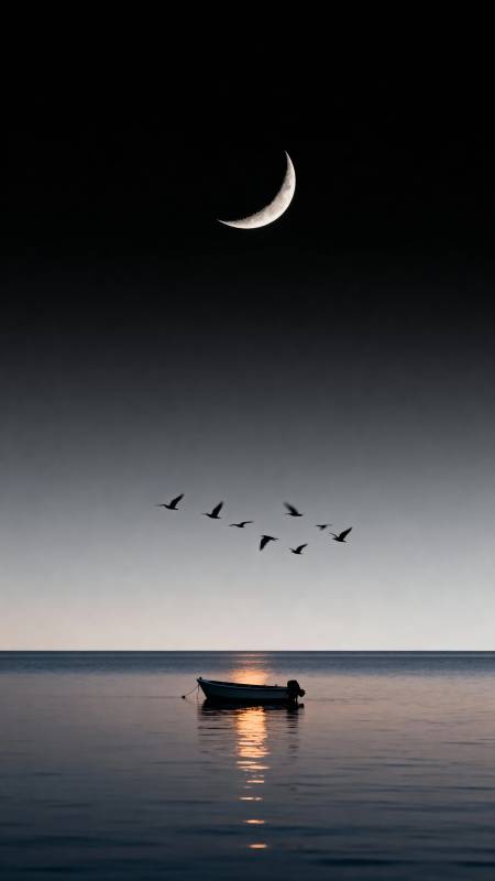 月下孤舟飞雁影图片