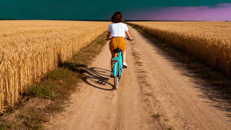 骑行在麦田小径图片