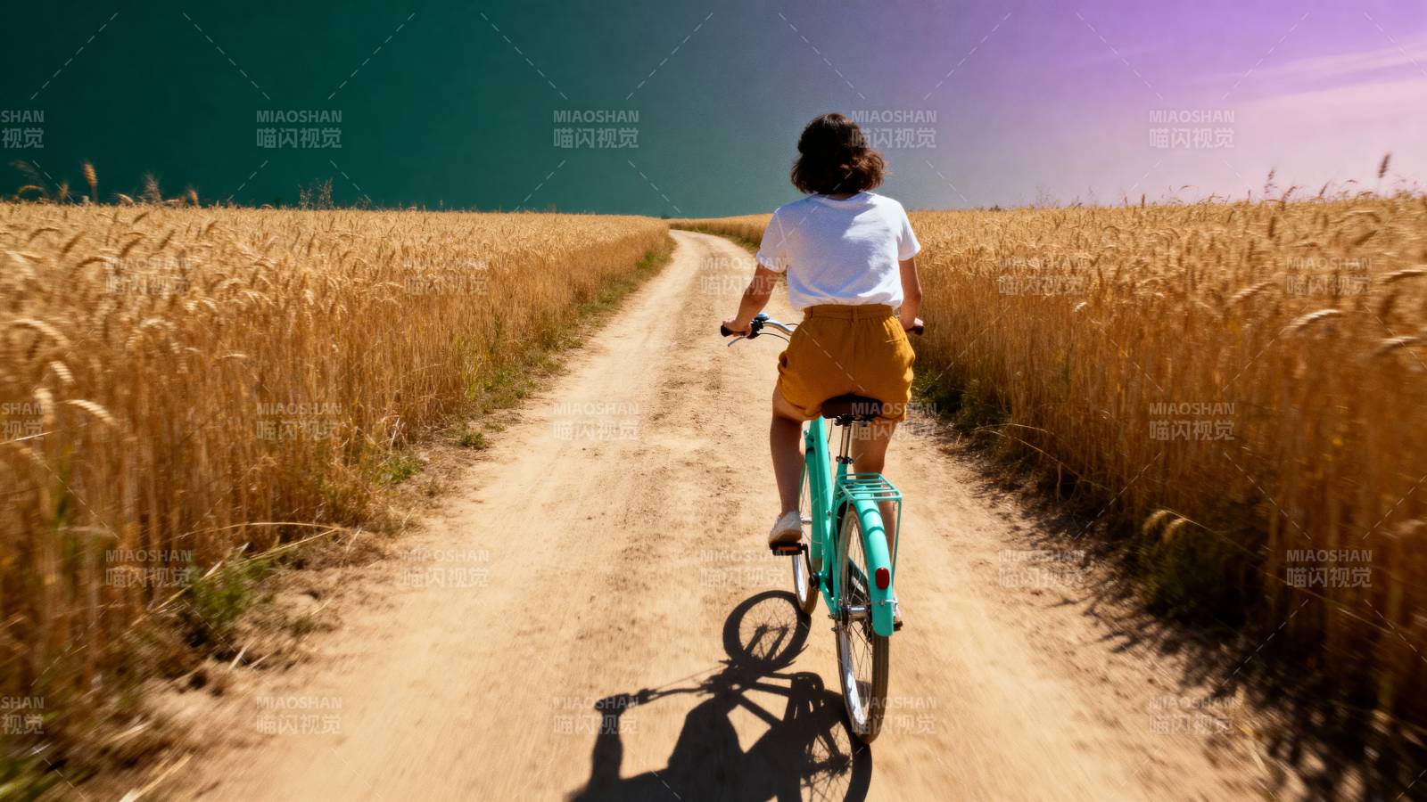 麦田骑行图片