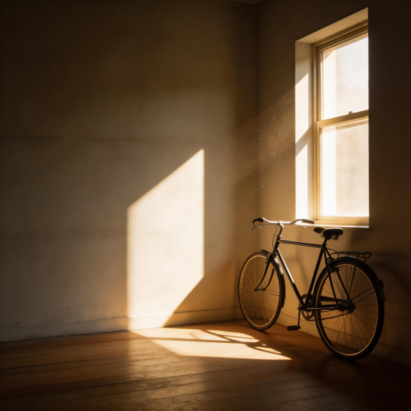 光影中的单车图片