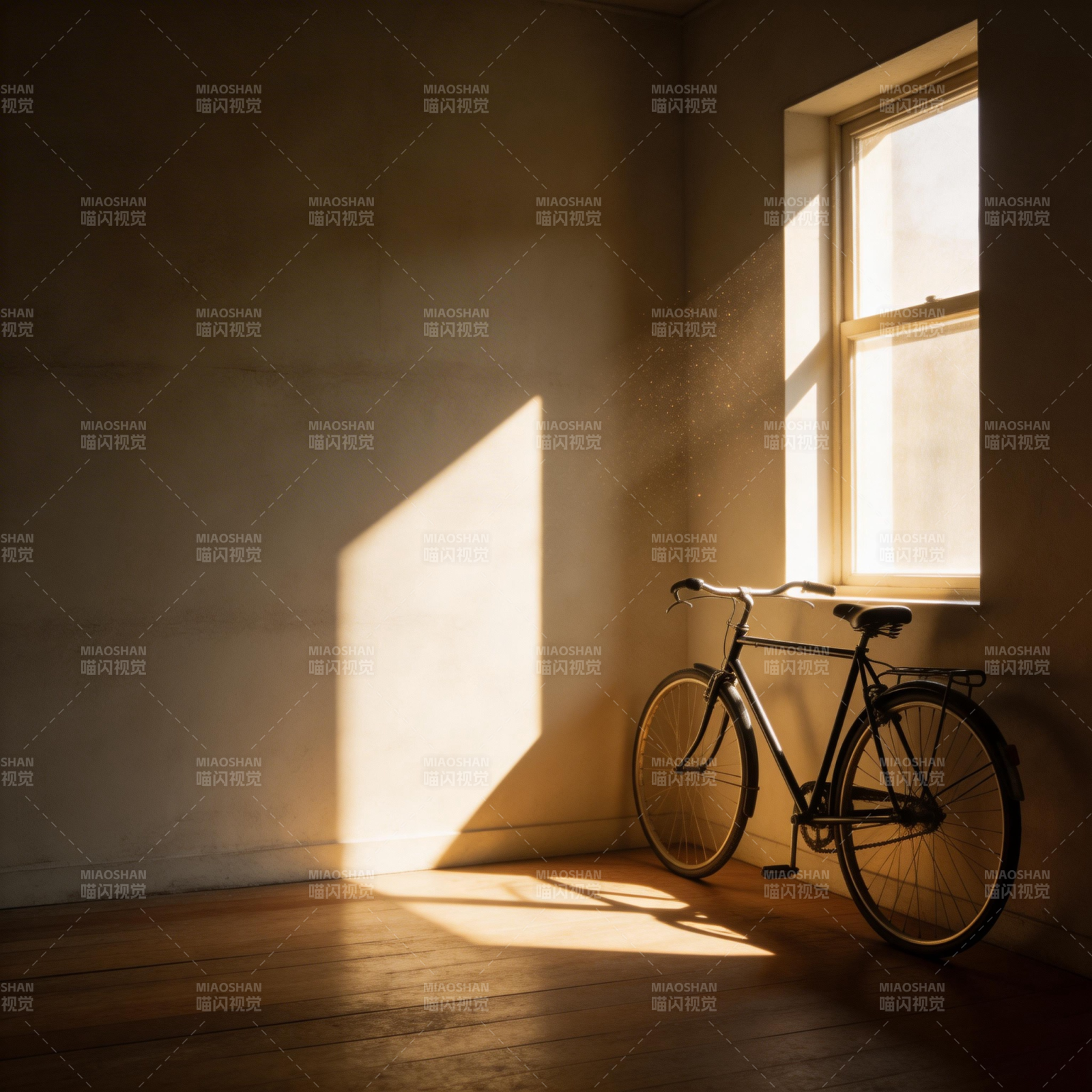 光影中的单车图片