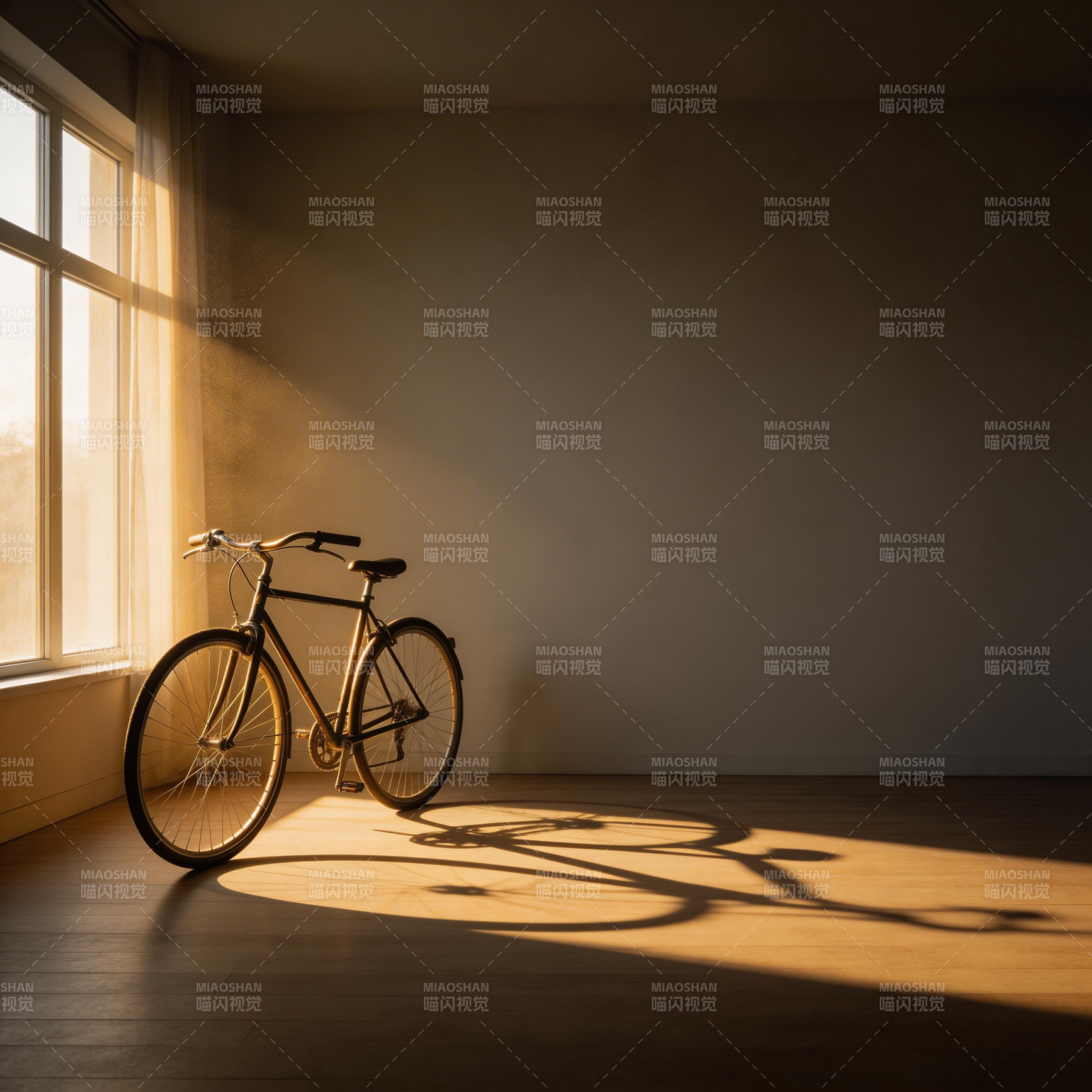 光影中的单车图片