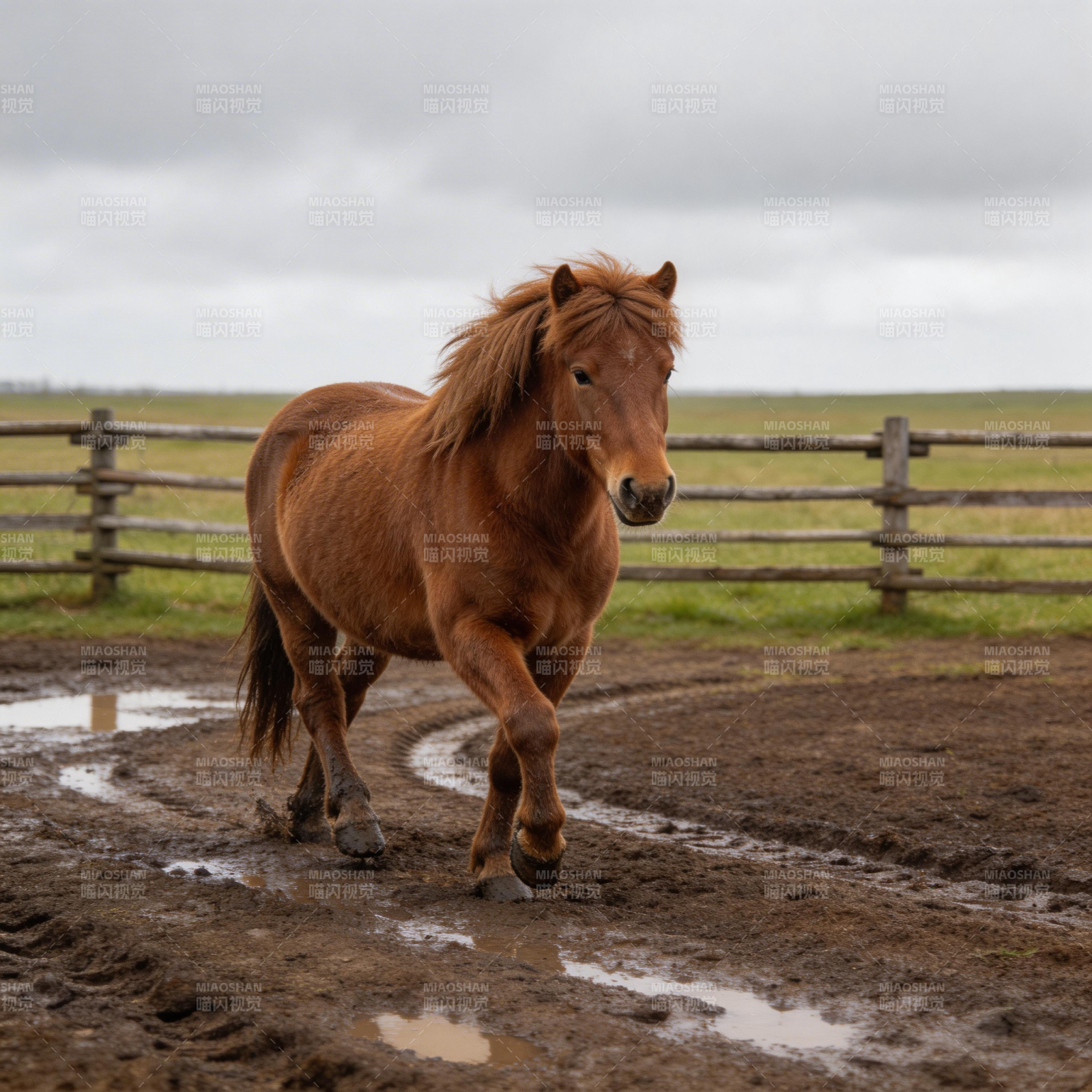 骏马奔腾泥泞中图片