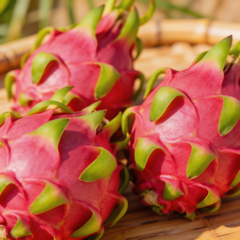 火龙果特写图片