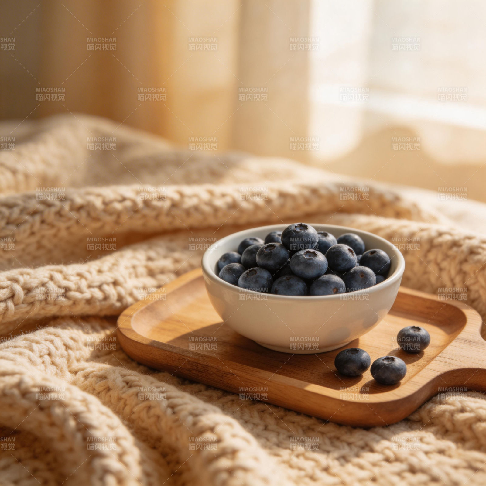 蓝莓静物图图片