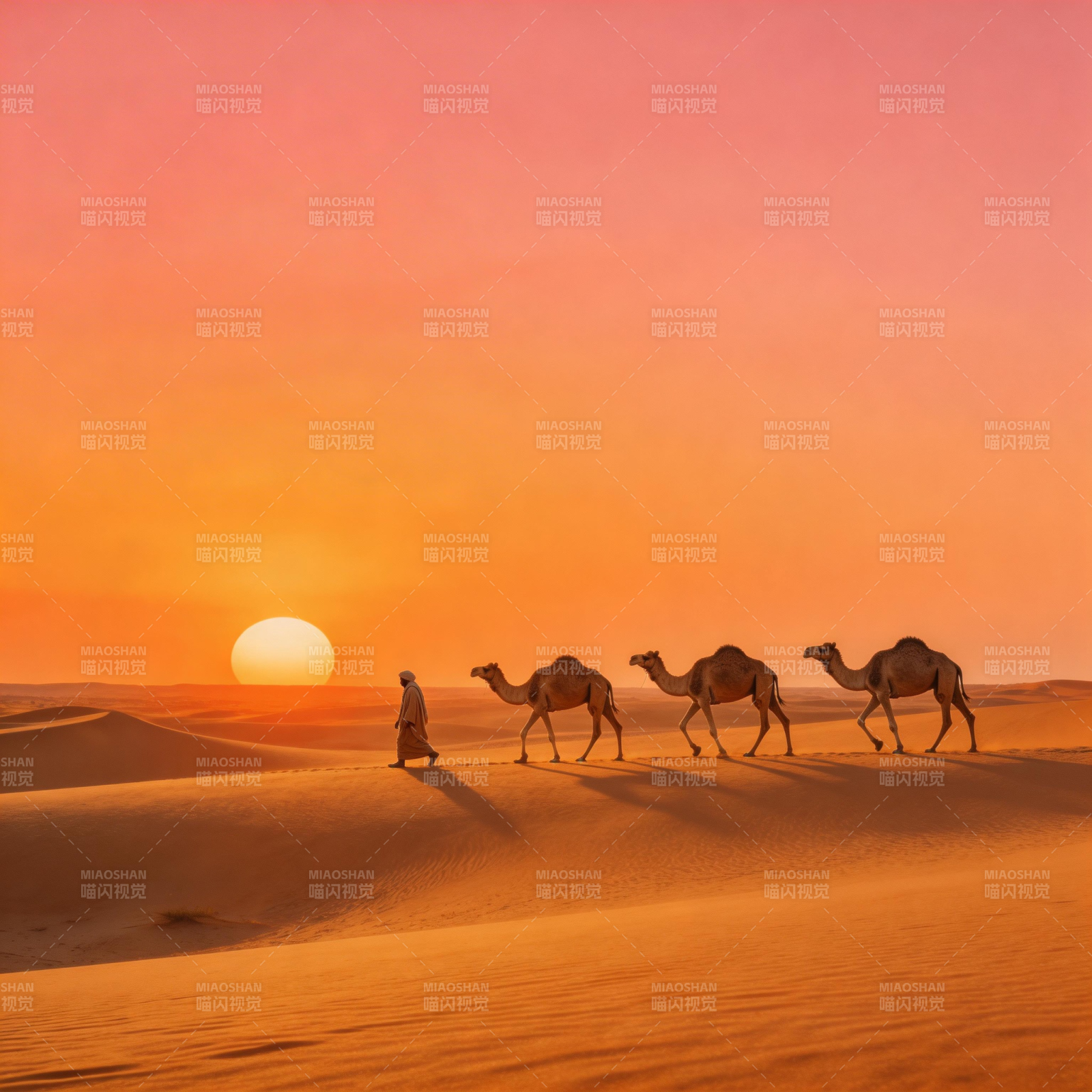 沙漠日落驼队行图片