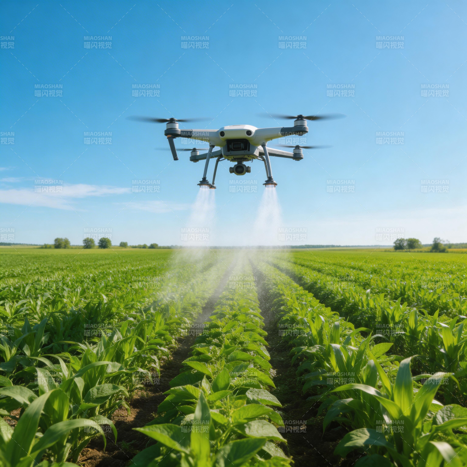 无人机喷洒农田图片