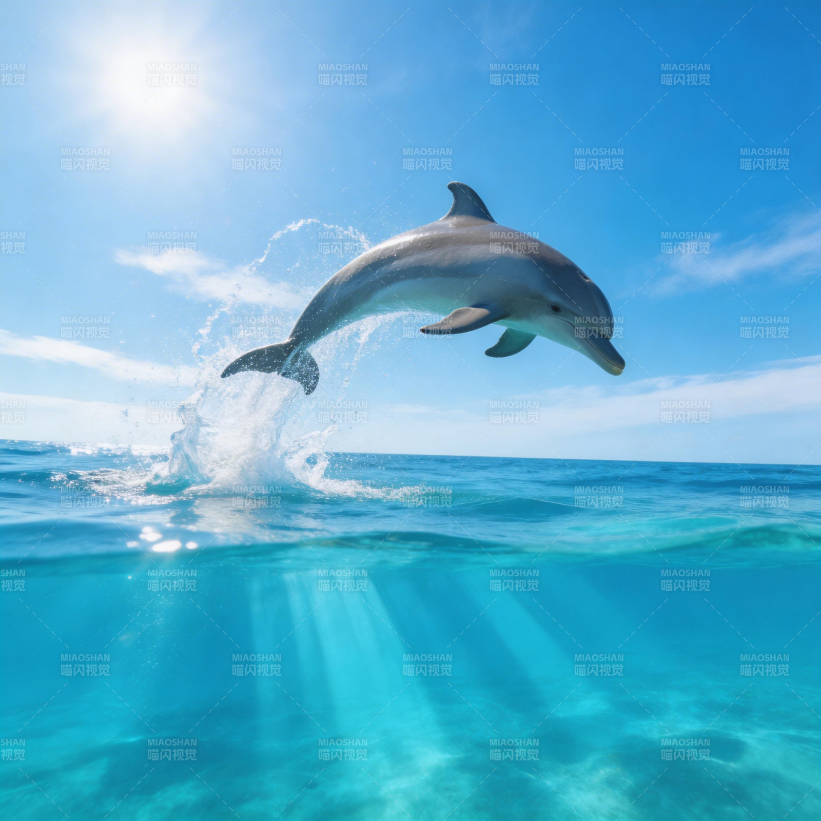 海豚跃出碧海蓝天图片