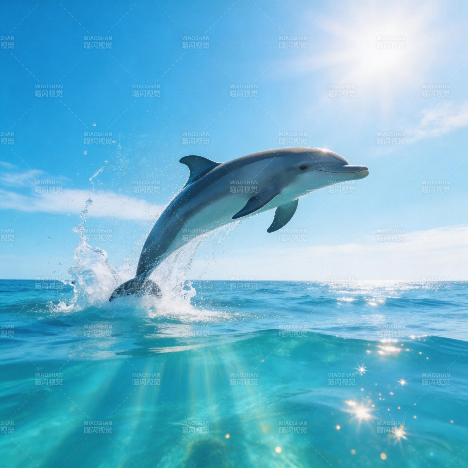 海豚跃出碧海蓝天图片